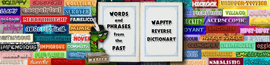 Reverse Dictionary FOOL - FOOLISHNESS - WORDS AND PHRASES FROM THE PAST